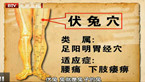 伏兔穴 治疗腰痛最好的穴位（图解伏兔穴的位置）