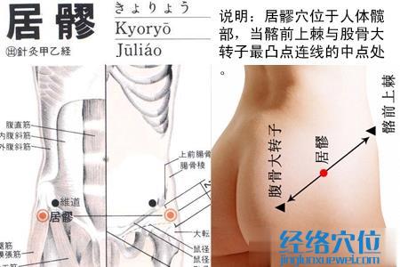 居髎穴的位置图