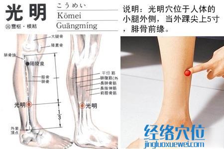 光明穴的位置图