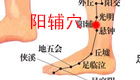 按摩阳辅穴缓解治疗腰腿痛、半身不遂