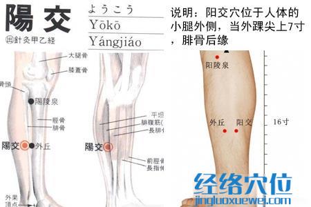 阴交穴
