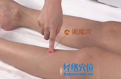 阑尾穴