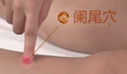 阑尾穴
