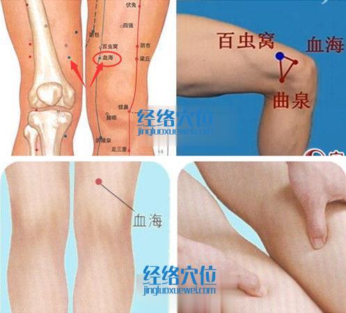 血海穴位位置图（高清图组）