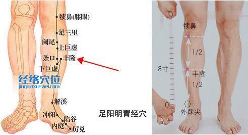 丰隆穴位位置图