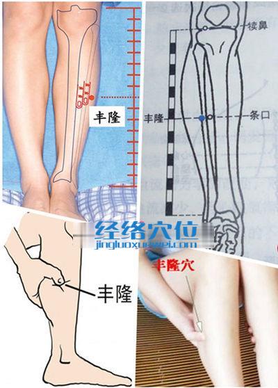 丰隆穴位位置图（高清图组）