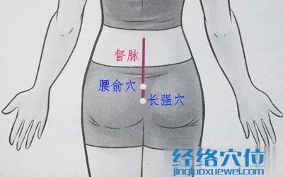 长强穴位位置图