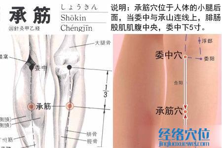 承筋穴位位置图