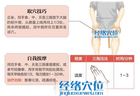 图解伏兔穴的位置