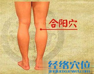 合阳穴的位置图