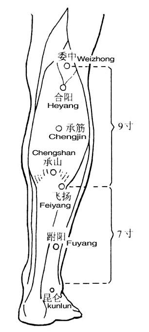 跗阳穴的准确位置图