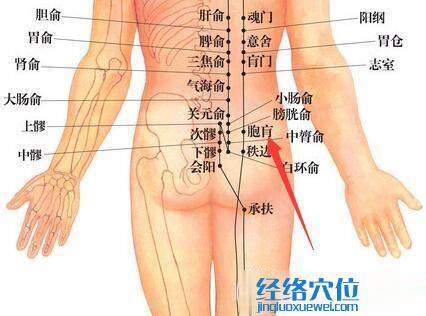 胞肓穴位位置图