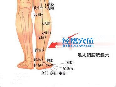 跗阳穴的准确位置图