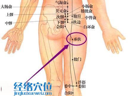 膀胱经承扶穴