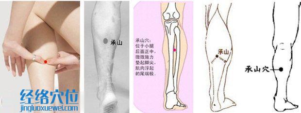 承山穴位位置图