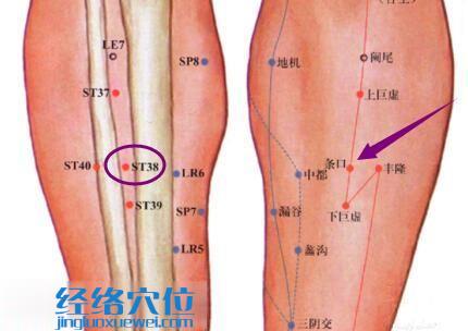 条口穴的准确位置图