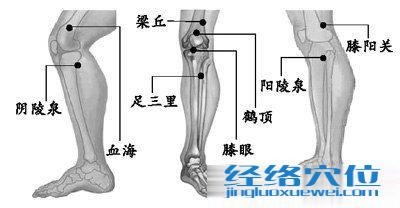 梁丘穴及配伍穴位