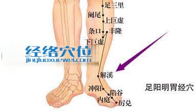 图解足阳明胃经之解溪穴