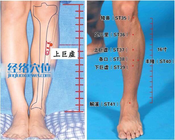 上巨虚穴的准确位置图
