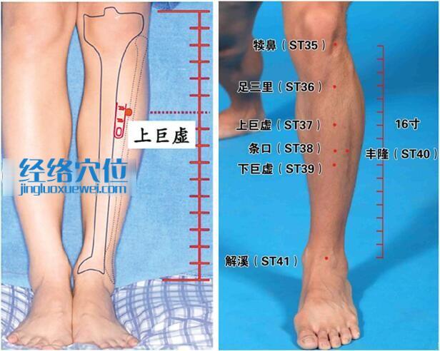 上巨虚穴的准确位置图