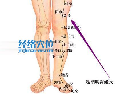 图解足阳明胃经梁丘穴位图