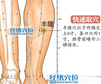 丰隆穴的准确位置图