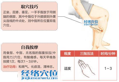 高清图解丰隆穴的位置及取穴技巧