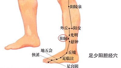 阳辅穴的准确位置图