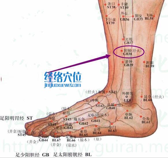 阳辅穴的准确位置图