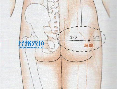 环跳穴的准确位置图