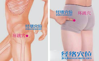 环跳穴位位置图