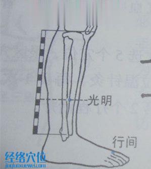 光明穴的位置