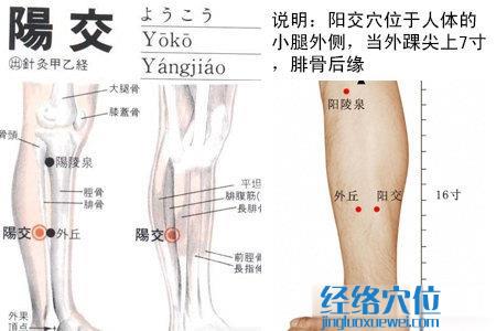 阳交穴位位置图