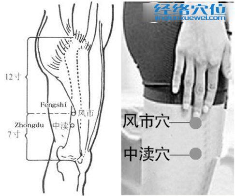 中渎穴位位置图