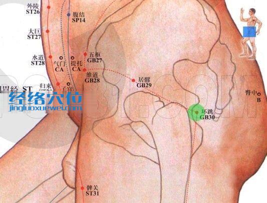 环跳穴的位置