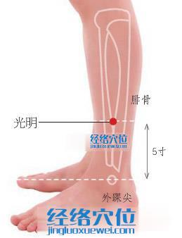 光明穴位位置图