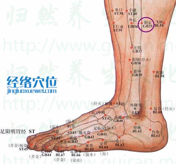 阳交穴位位置图