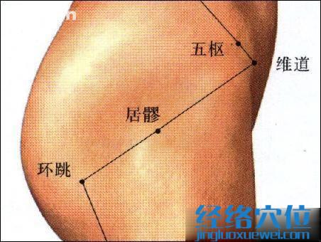 居髎穴的位置图