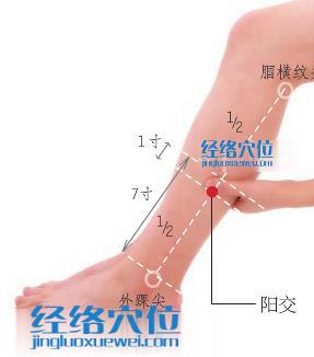 阳交穴位位置图