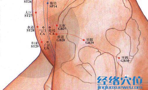 居髎穴的位置图