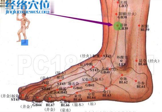 悬钟穴的准确位置图