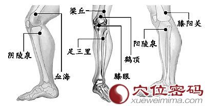 膝阳关穴相关配伍穴位图