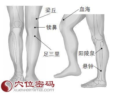 阳陵泉穴