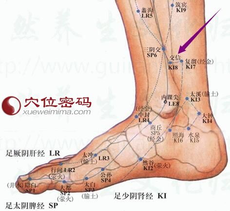 交信穴位图