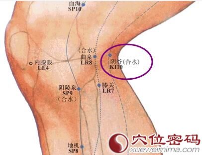 阴谷穴的位置