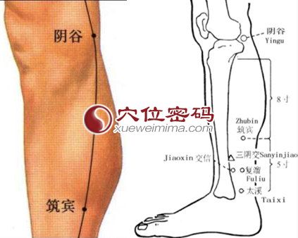 阴谷穴的准确位置图