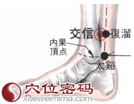 交信穴的位置解剖分析图