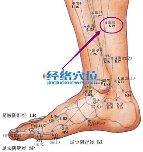 筑宾穴的准确位置图