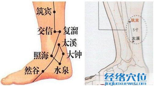 筑宾穴位位置图