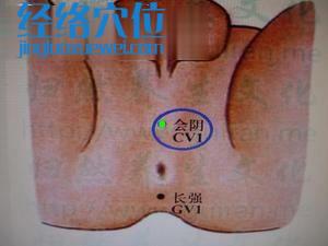 会阴穴位位置图